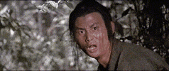 save yourself kung fu GIF by Shaw Brothers