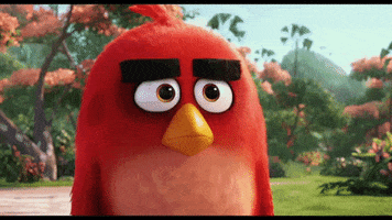 mad ang GIF by Angry Birds