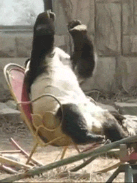 matt  GIF