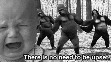 bvrakvs no upset to is GIF