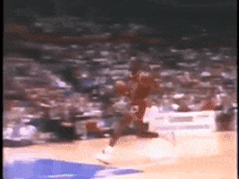 alexloubety air jordan GIF