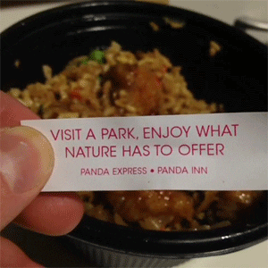 fortune cookie park GIF