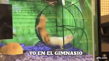 rickhuaynate  GIF