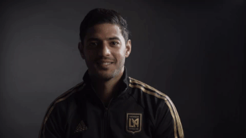 lafc funny laughing los angeles lafc GIF