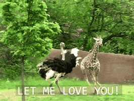 Let Me Love You Gifs Get The Best Gif On Giphy