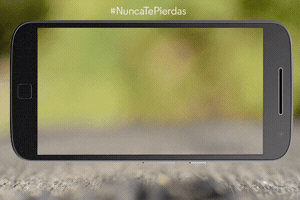WSGifs  GIF