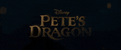 Bryce Dallas Howard Disney GIF by Disney’s Pete’s Dragon