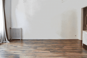 shootestudios  GIF