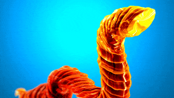 3d worm GIF by POST MAN