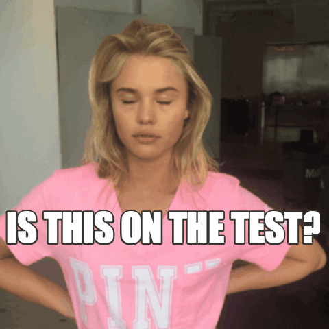 Back To School What GIF by Victoria's Secret PINK