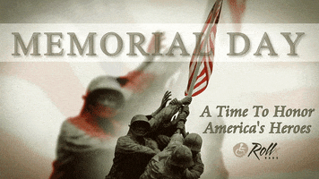 ddelie rollx vans rollx GIF