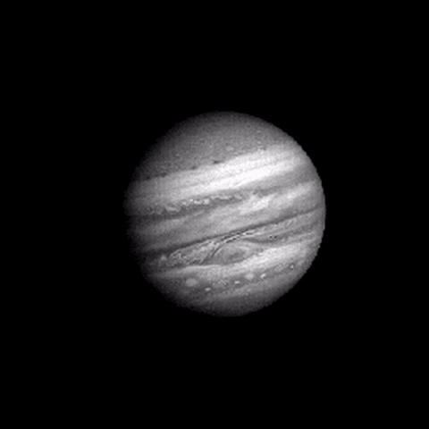 vutrutrongtamtay juno GIF