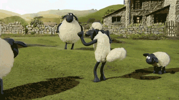 Shaun The Sheep Yes GIF by Aardman Animations