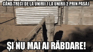 attrexx  GIF