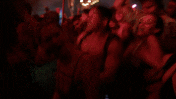 Dance Party Dancing GIF by Bonnaroo Music and Arts Festival