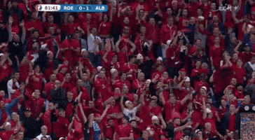 euro 2016 jump GIF by Sporza