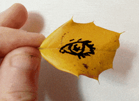 animation matthias brown GIF by TraceLoops