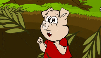 scared pig GIF by Estudios Animeco
