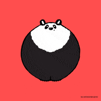 Best Panda Gifs Primo Gif Latest Animated Gifs