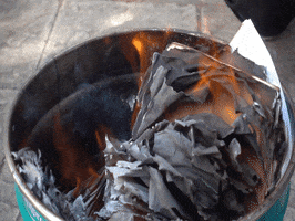 200.gif?cid=fc005b083b562cc149a65879a57153167419412edc7f1355&rid=200.gif&ct=g