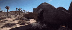 Time Lapse Desert GIF by Pearl Lion