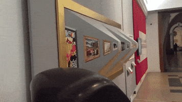 perception  GIF
