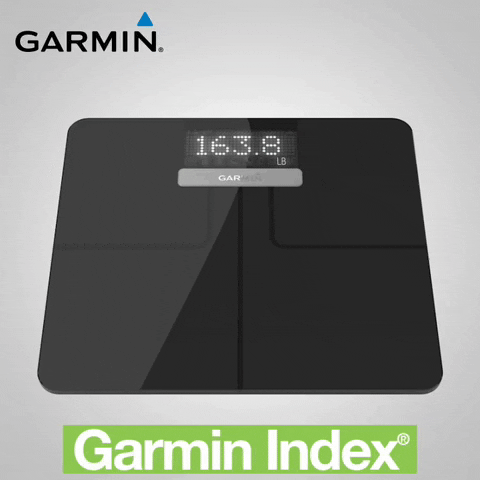 garminmexico garmin garmin index GIF