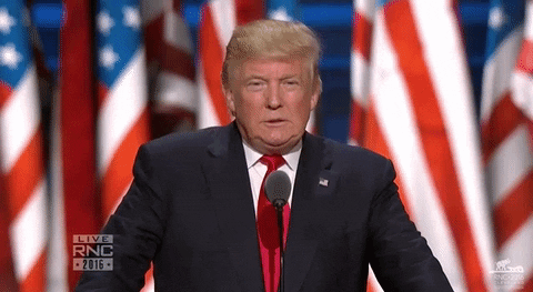 Donald Trump No GIF by Election 2016 - Find & Share on GIPHY