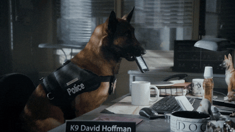 Fail Police Dog GIF by Angie Tribeca - Find & Share on GIPHY