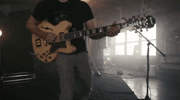 a great big pile of leaves snack attack GIF by Topshelf Records