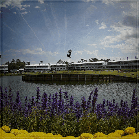 teamtitleist  GIF