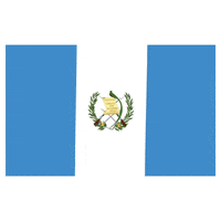 flag guatemala GIF by Latinoji