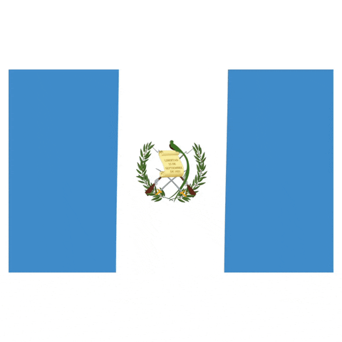 flag guatemala GIF by Latinoji