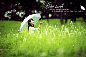 phucuong  GIF