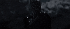 Black Panther GIF by ScreenJunkies