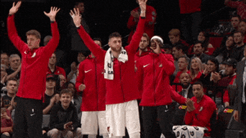 excited jusuf nurkic GIF by NBA