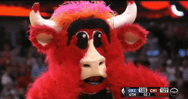 Oh My God Omg GIF by Chicago Bulls