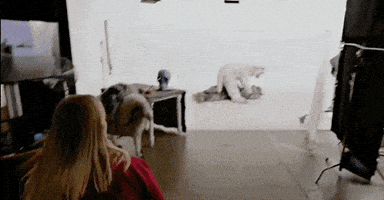 m a  n   i    a mania GIF by Fall Out Boy