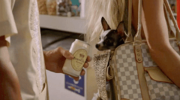 laff mobb GIF by Laff Mobb’s Laff Tracks