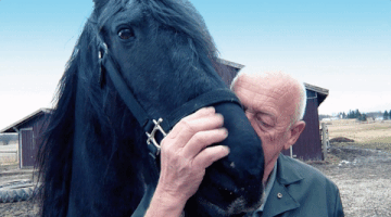 the incredible dr pol GIF by Nat Geo Wild 
