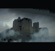 Monty Python Coconuts GIF