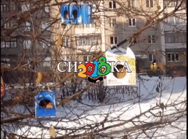 Ð¿ÑÐ¸ÑÐ¾Ð´Ð° GIF