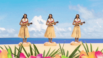 travel hawaii GIF by Alaska Airlines