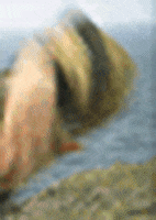 200.gif?cid=fc005b086a21a90a2c69528e334502d74e574195b76ef1ed&rid=200.gif&ct=g