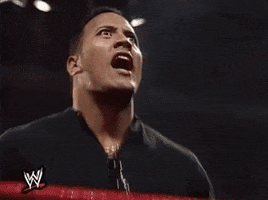 the rock wrestling GIF by WWE