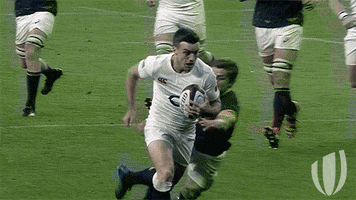 rugby union england GIF by World Rugby