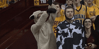 College Sports Costume GIF by Minnesota Gophers