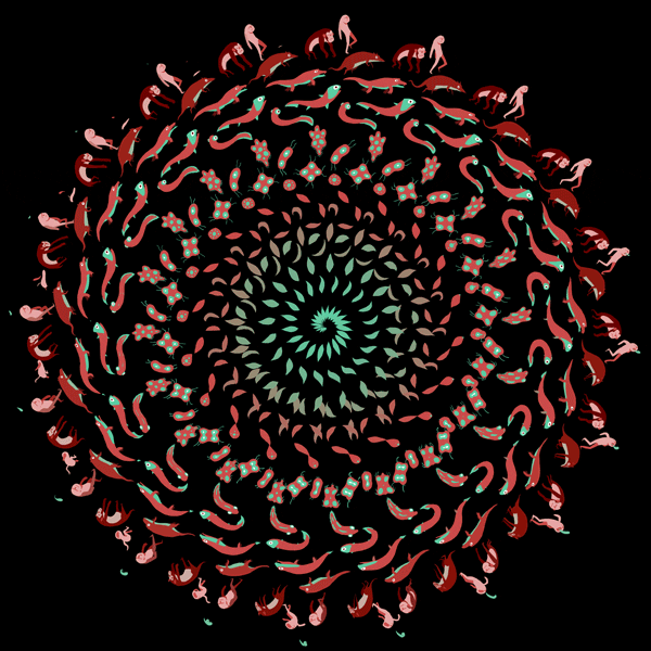 papodeprimata evolution biology biologia evolucao GIF