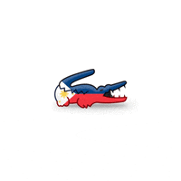 philippines ok GIF by LACOSTE