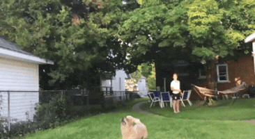 yokboylebirsey  GIF